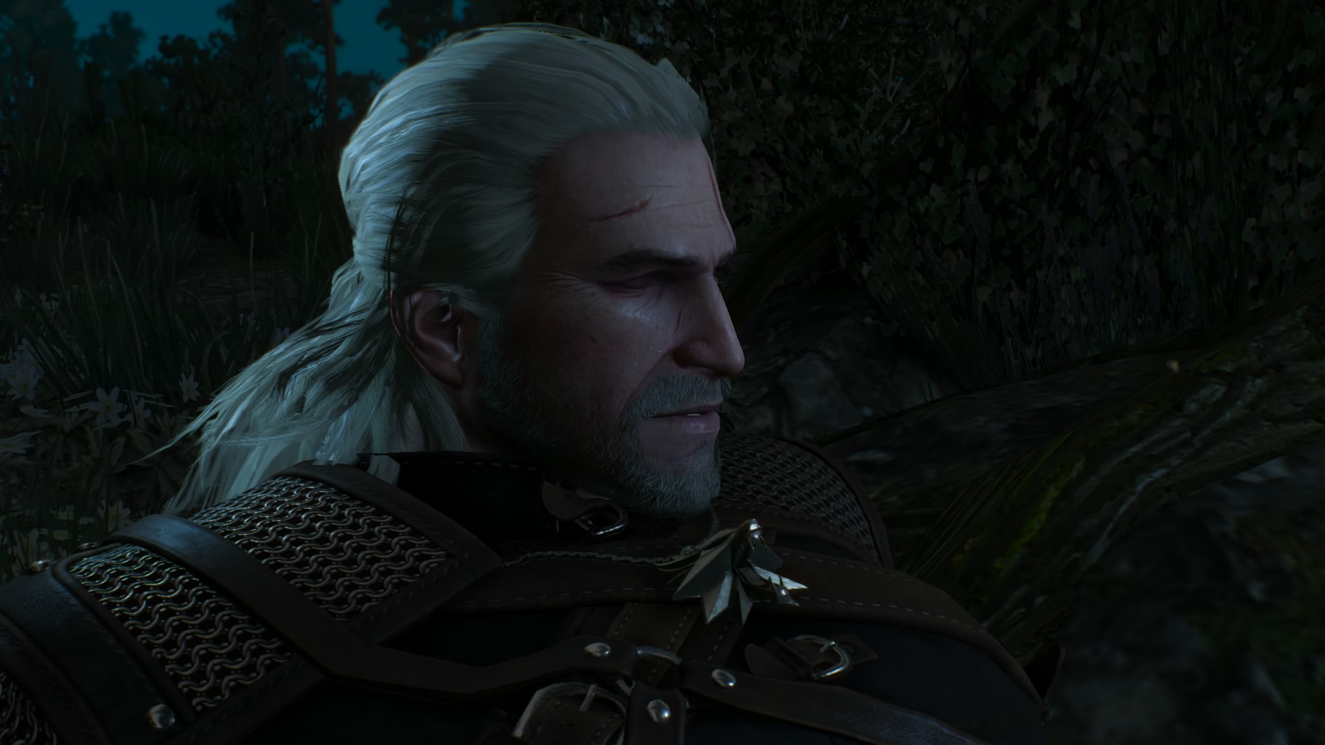 The Witcher 3 Single Link